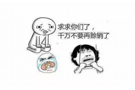 岑溪企业清欠服务